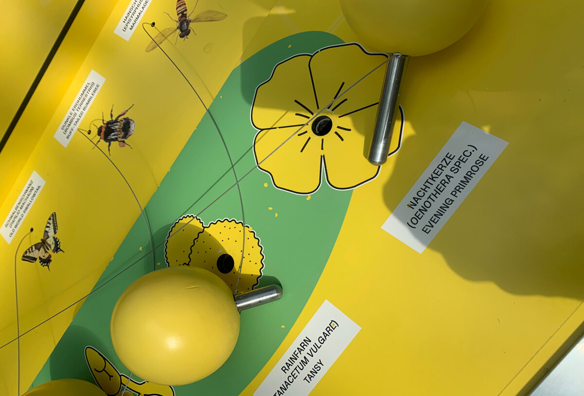 ixpo-Referenz-Markenwelten-Ausstellungsbau-Blume